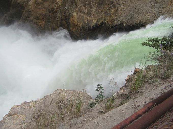 The Falls at the Grand Canyon of Yellowstone