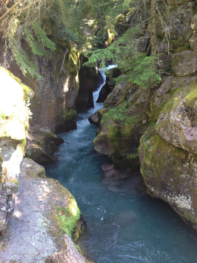 Waterfall on our hike