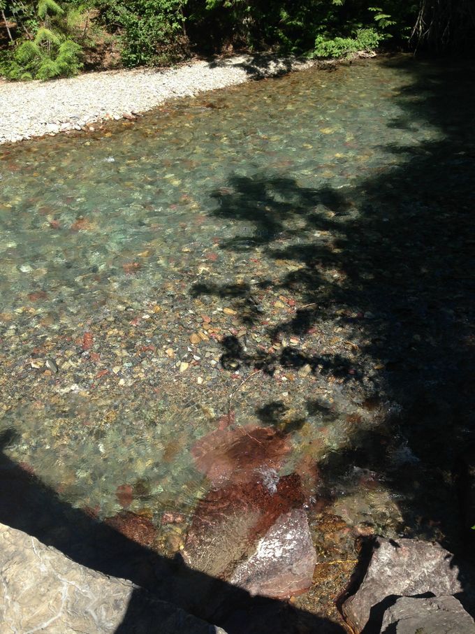 Can you see how clear this water is???