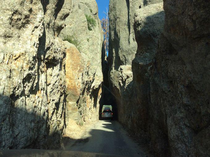 Driving through the rock! Custer National Park, South Dakota