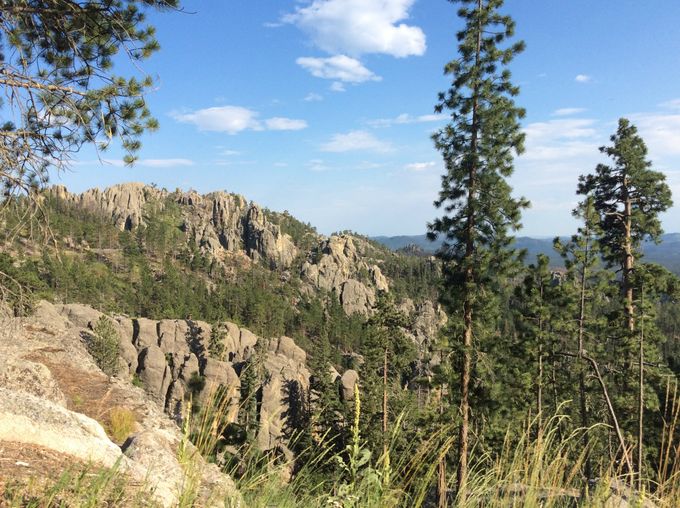 Custer National Park, South Dakota 